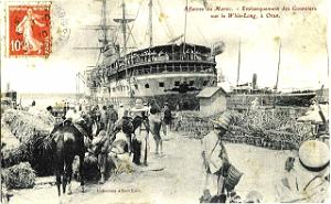 PO e- 486